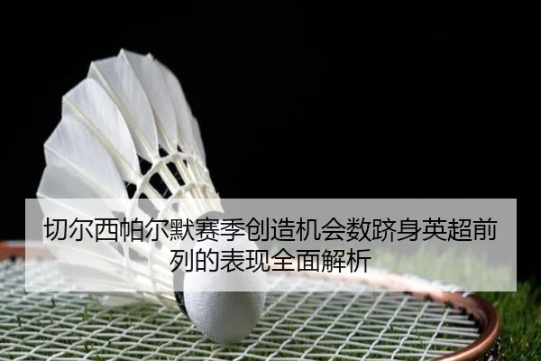 切尔西帕尔默赛季创造机会数跻身英超前列的表现全面解析